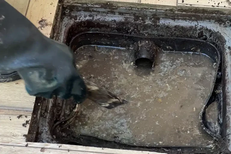 Caixa de gordura aberta, com mão de luva raspando a camada de gordura da superfície